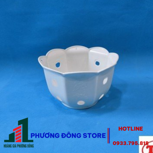 Chậu Lan Bèo (Phi22,c14)